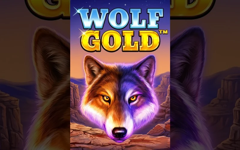 Jage riesige Jackpots in Wolf Gold bei Spinrollz.