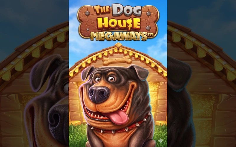 Spiele The Dog House Megaways auf Spinrollz und sichere dir große Gewinne.
